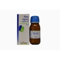 BOIRON RIBES NIGRUM GEMME MACERATO GLICERICO  60ML 